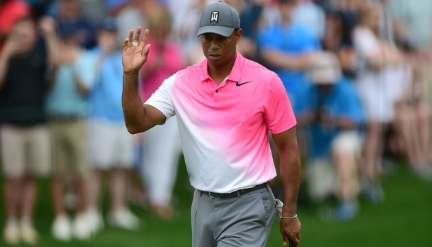 Wells2018R3Woods02